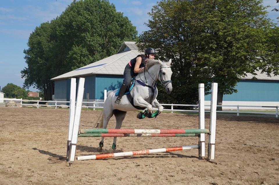 Anden særlig race Just My Luck (Lucky) - Sommer 2014 billede 29