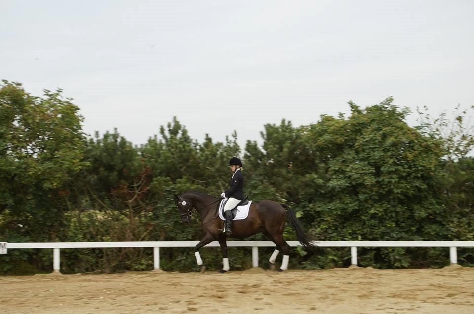 Trakehner Satori Birkedommergård - Den 9. august 2014. LC1, 1.plads. Satori og mit første stævne sammen, i mens han stadig var min mors. billede 8
