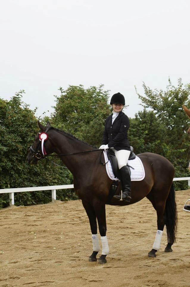Trakehner Satori Birkedommergård - Den 9. august 2014. LC1, 1.plads. Satori og mit første stævne sammen, i mens han stadig var min mors. billede 9