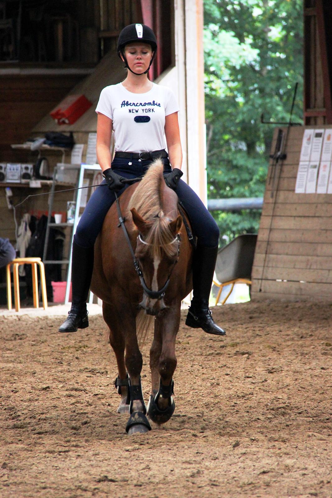 Anden særlig race Sasha billede 19