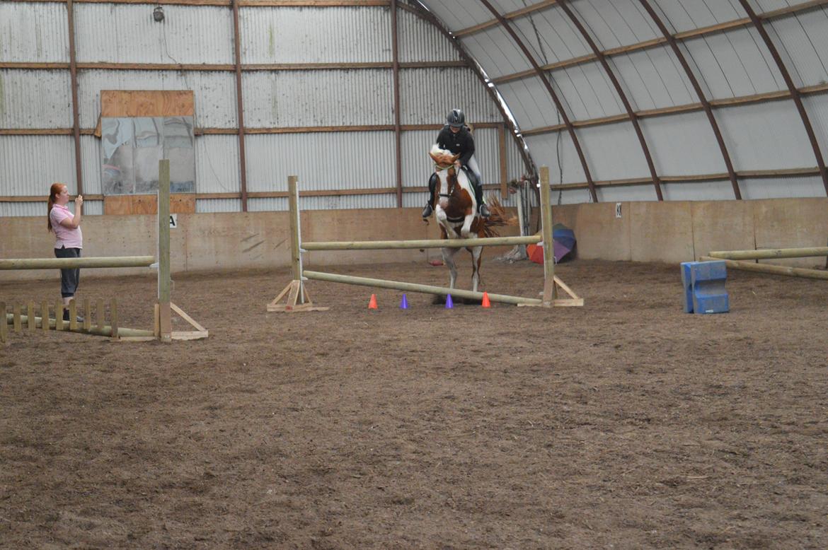 Pinto Indurain Delight - Den Brogede Skønhed - Træningslejr 2014 billede 3