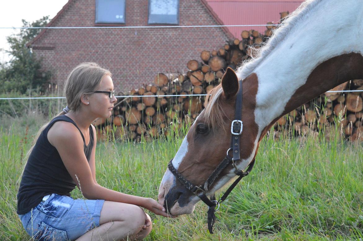 Pinto Indurain Delight - Den Brogede Skønhed billede 8