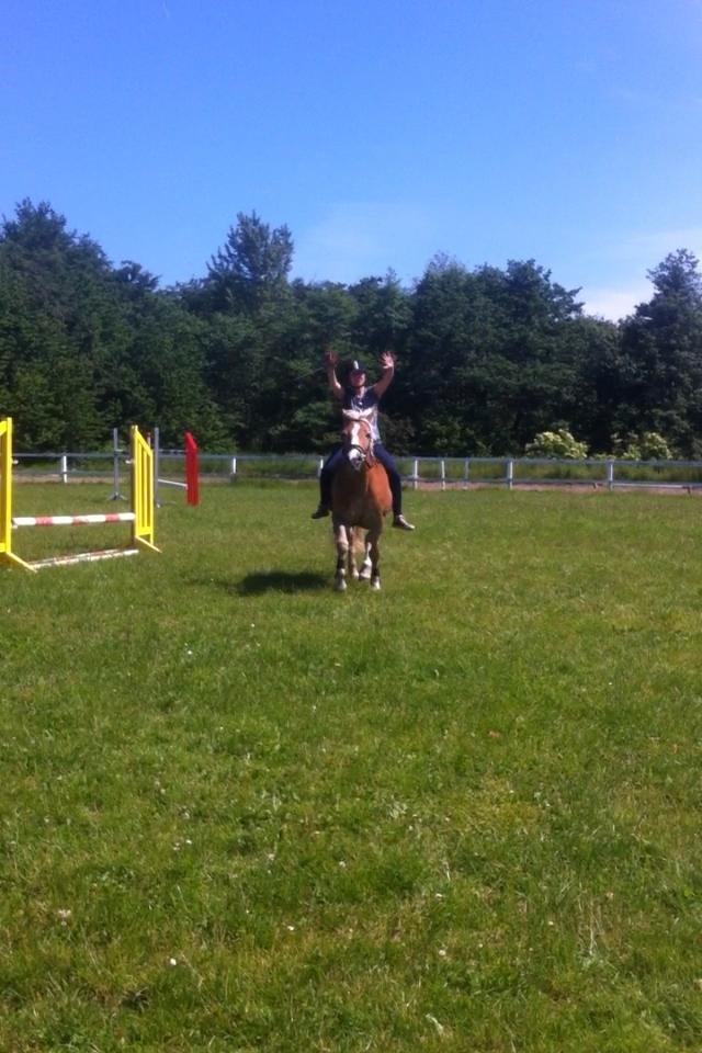 Haflinger Katja - (Min stjerne) <3 - Lidt sjov er der stadig plads til <3 billede 12