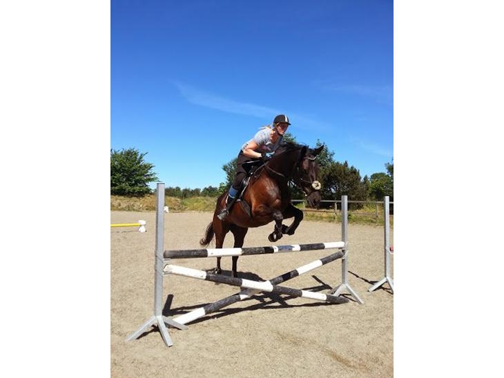 {{currentPhoto.altText}} billede {{currentPhoto.number}}