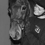 Anden særlig race Carfax