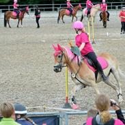 Haflinger Luca (guldponyen)