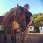 Anden særlig race Louise 