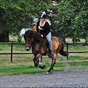 Islænder Fannar fra Gunderup