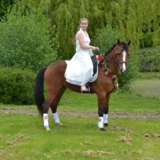 Anden særlig race Scarlett Summer