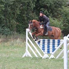 Frederiksborg Prince Houdini <3Rest In Peace