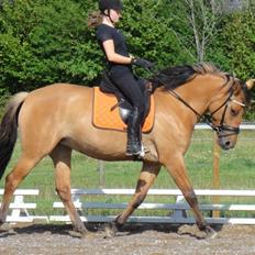 Anden særlig race Mon Chéri