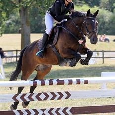 Anden særlig race Pondus