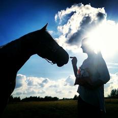 Palomino Golden Fashion