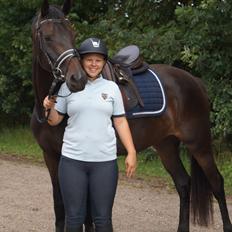 Dansk Varmblod Sherly Skovbo - solgt 
