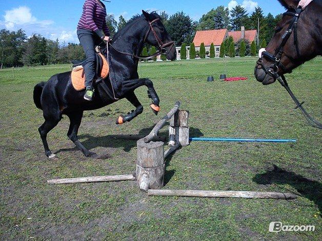 Traver ~Nathaly Prophet~ Medera (Dronningen) billede 39