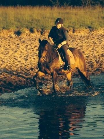 Anden særlig race Maestro billede 11