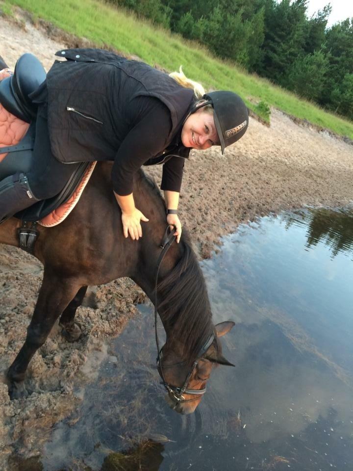 Anden særlig race Maestro billede 4