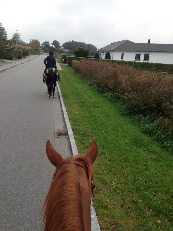 Quarter peppy maclou design  billede 17