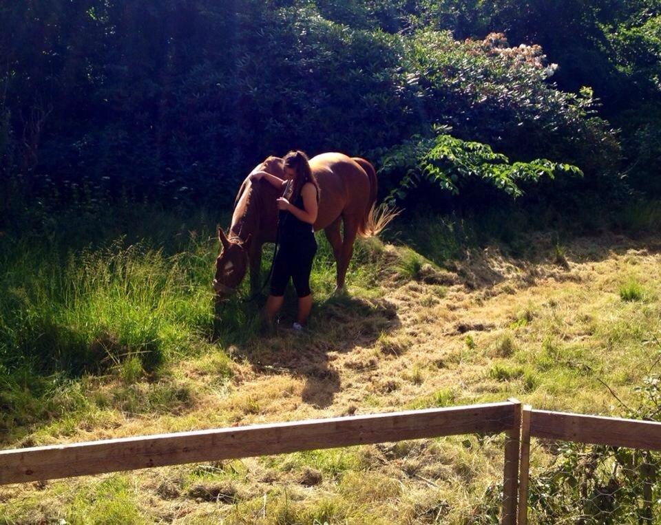 Quarter peppy maclou design  billede 19