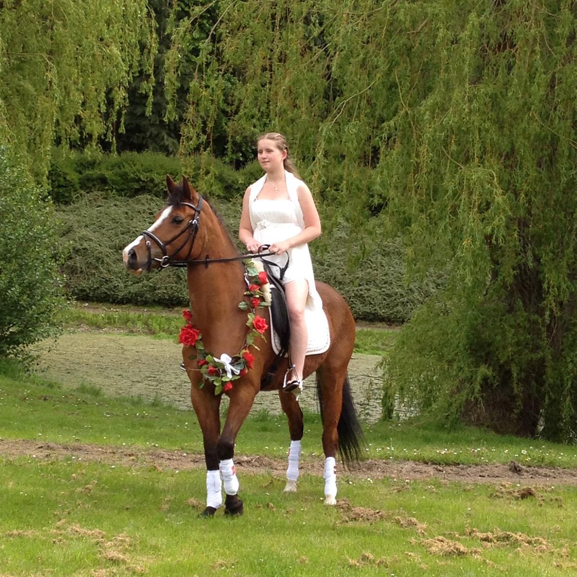 Anden særlig race Scarlett Summer - Scarlett hentede mig til min konfirmation billede 2
