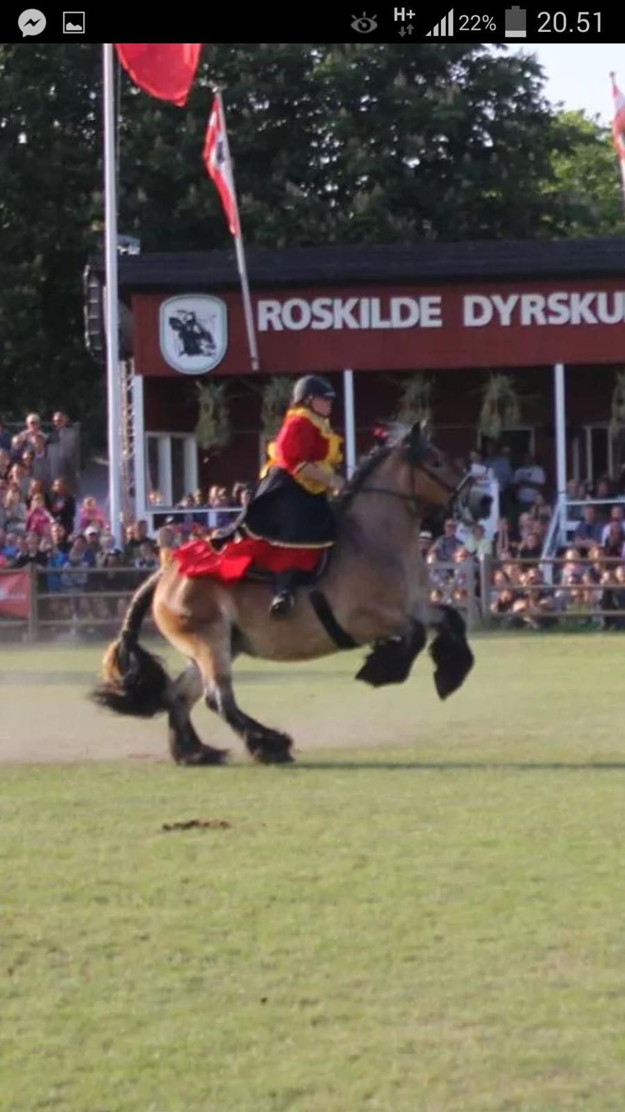 Belgier Citt af Fløjgård billede 17