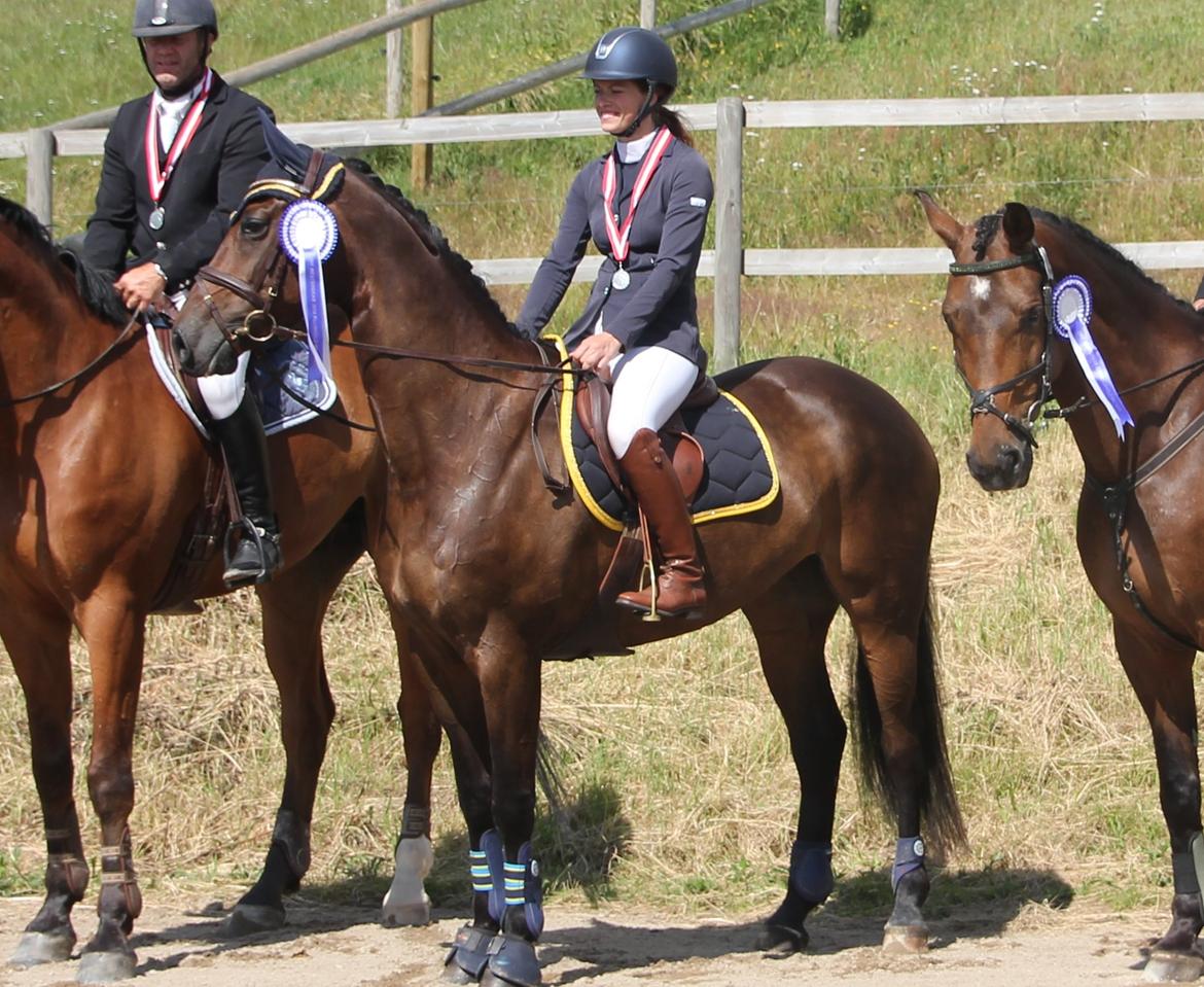 Dansk Varmblod Fyrstinde Temptation S.G. - Dejlige Fyrstinde og lidt af holde til DM 2014! billede 19