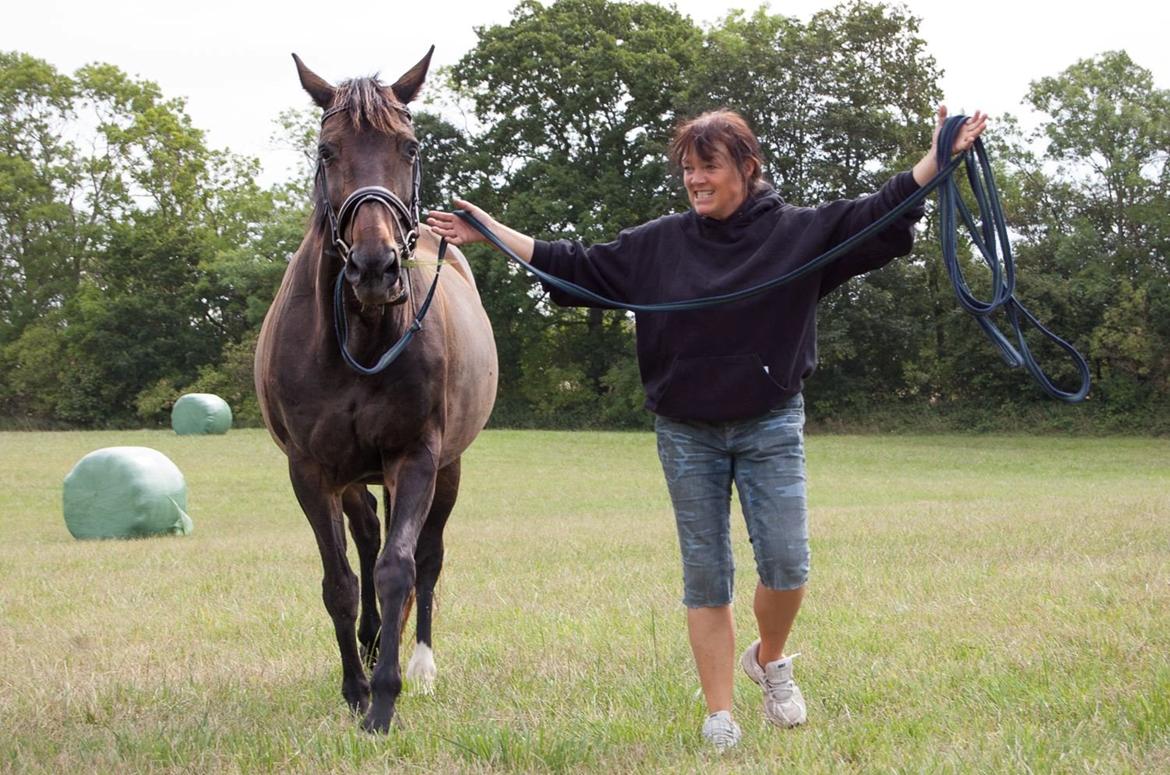Dansk Varmblod Nygaards Michado billede 19