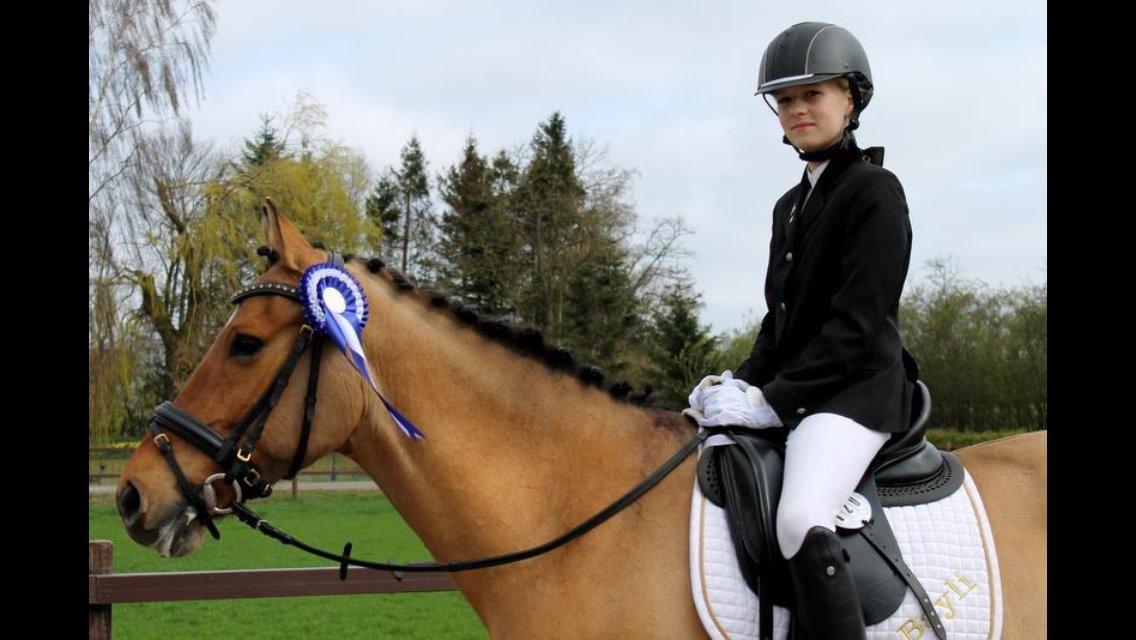 Anden særlig race Bayli  billede 16