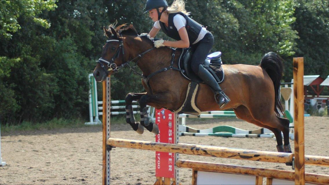 DSP Schrøter's La Couer billede 15