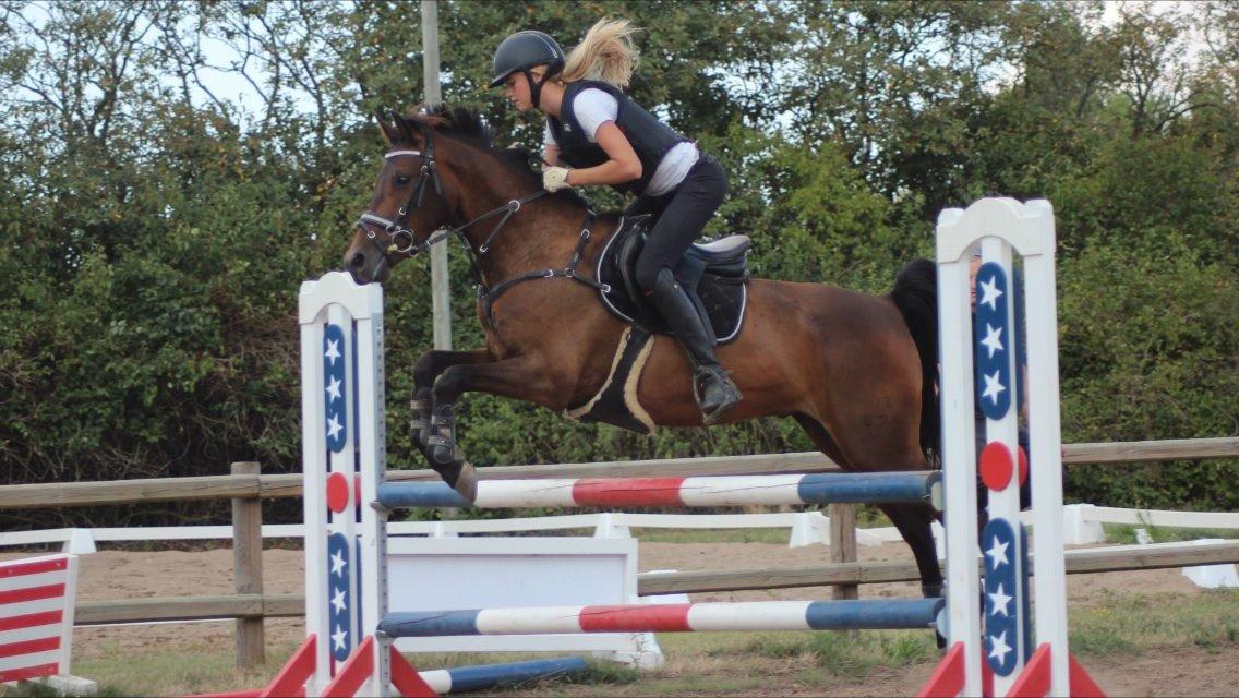 DSP Schrøter's La Couer billede 17