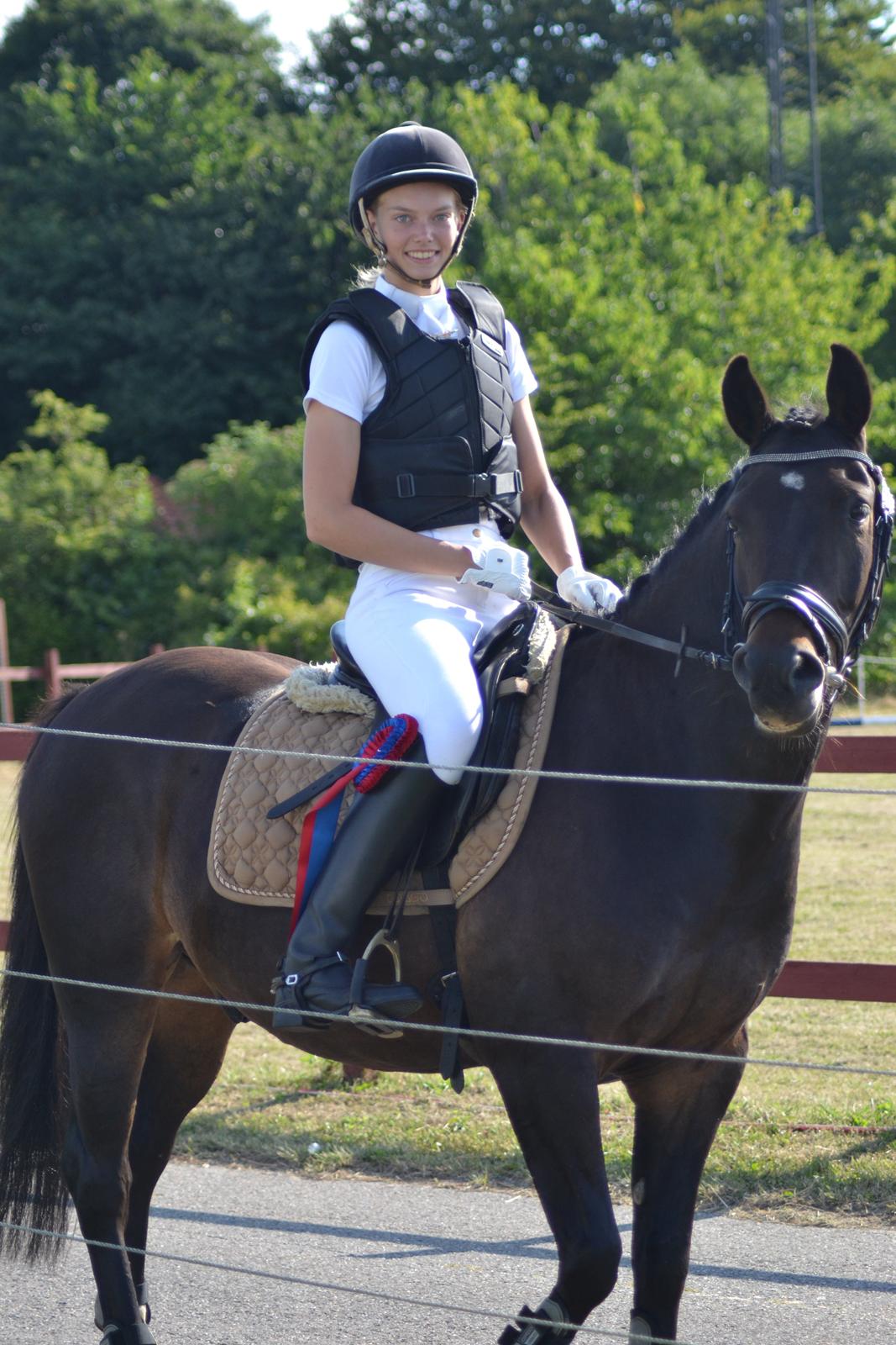 New Forest Krondalens Dropan billede 14