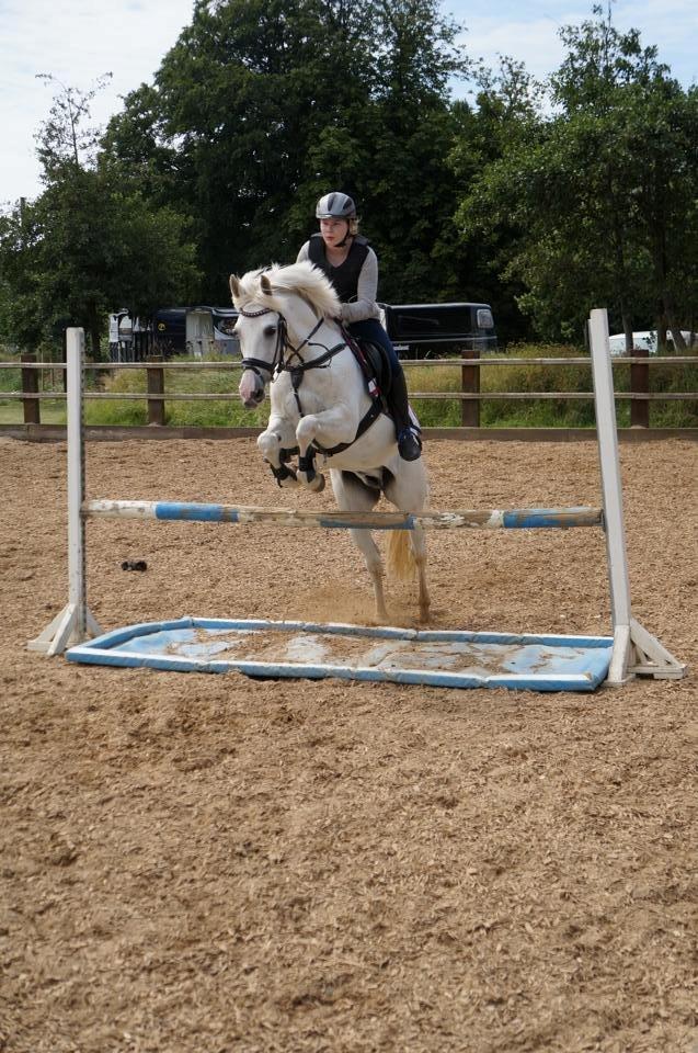 Anden særlig race Milky Way billede 4