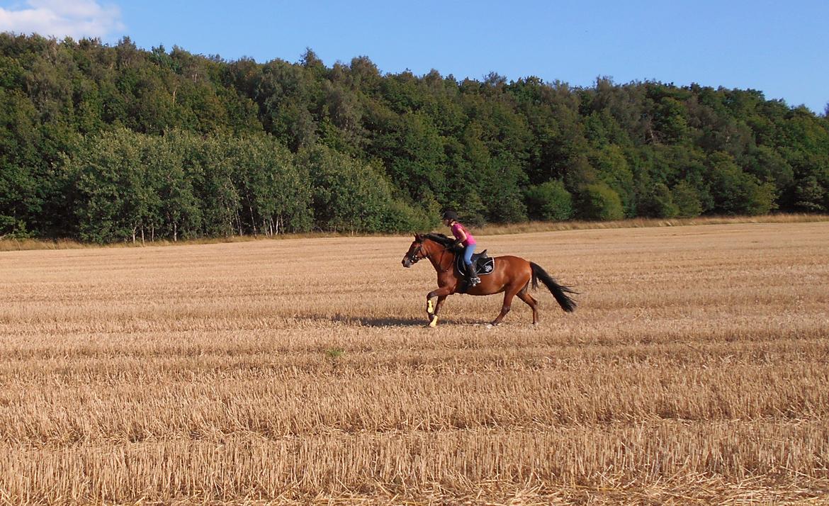 DSP Beauty billede 2