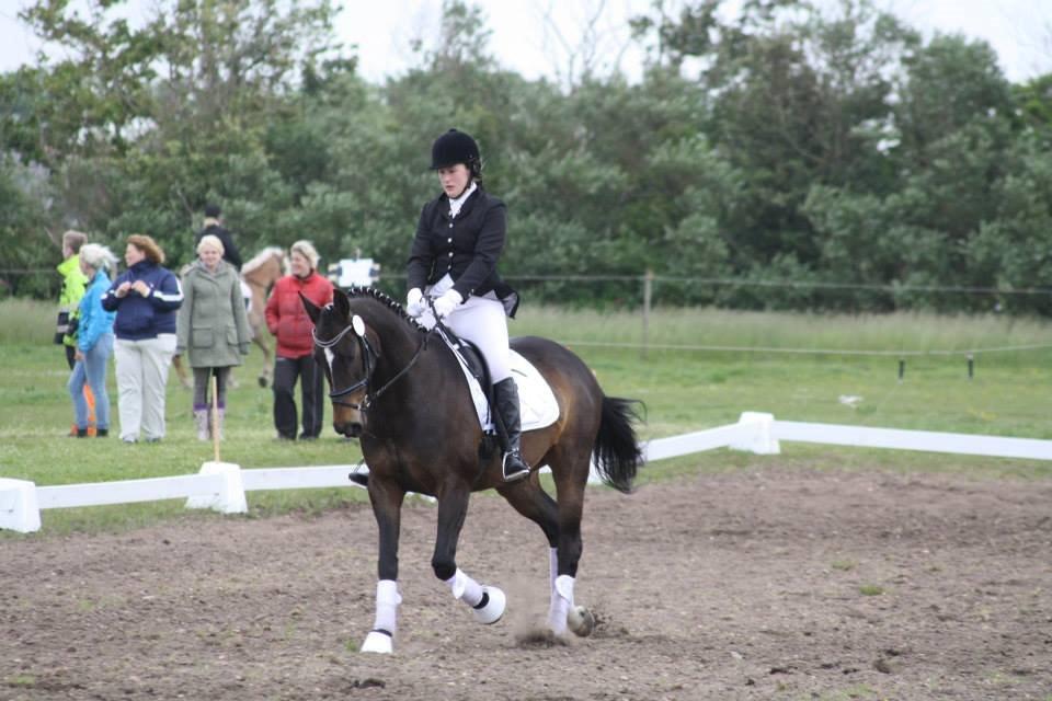Dansk Varmblod Midor (Mulle) - Stævne i Nr.Nebel. 2014 billede 10