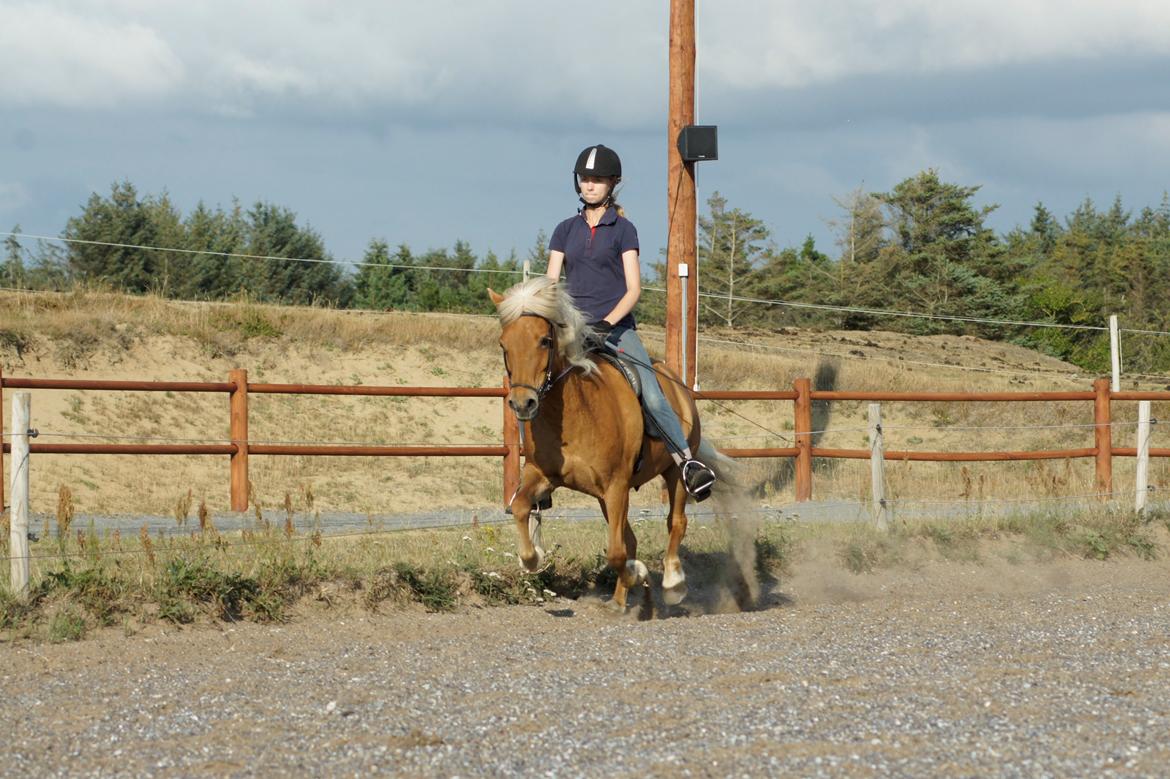 Islænder Dís fra Kópavogi - Dís  og jeg i galop billede 6