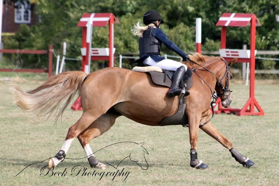 Palomino Lysgaards Anna bell - dette billede er fra pony ugen i lc'en hvor vi fik en 3 plads stolt<3 billede 3