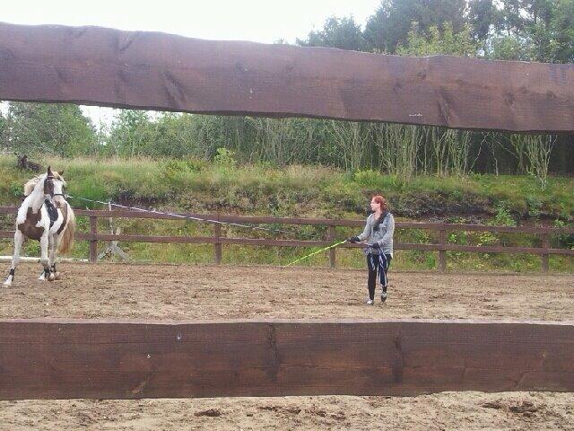 Pinto Aston A Kila billede 17