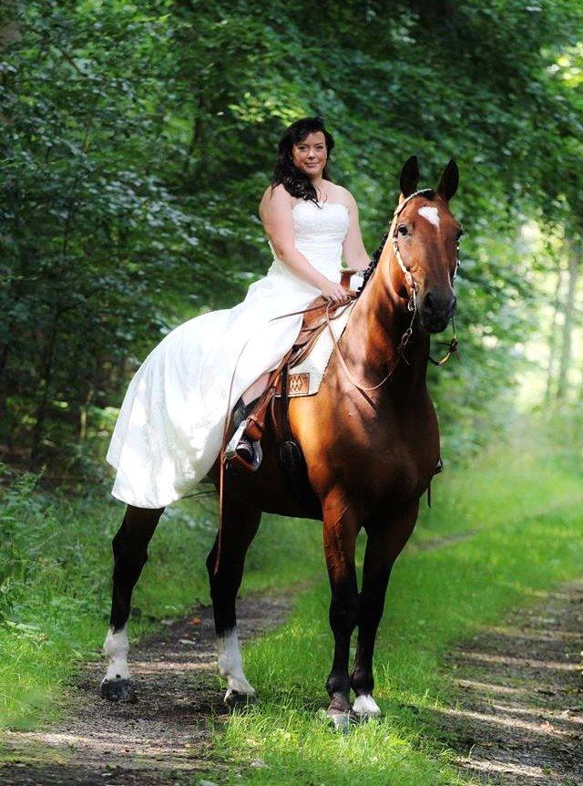 Holstener T-Rex billede 13