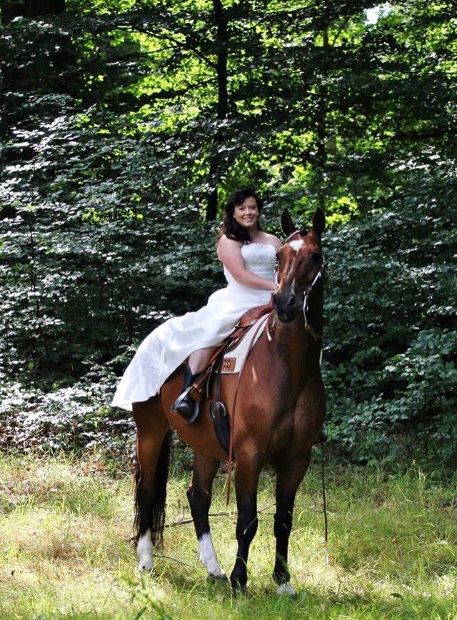 Holstener T-Rex billede 11