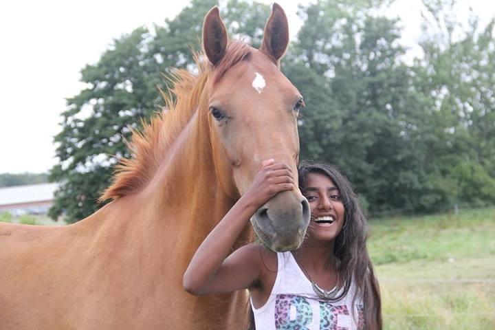 Dansk Varmblod Casilje  - mig og tøsen :) billede 7