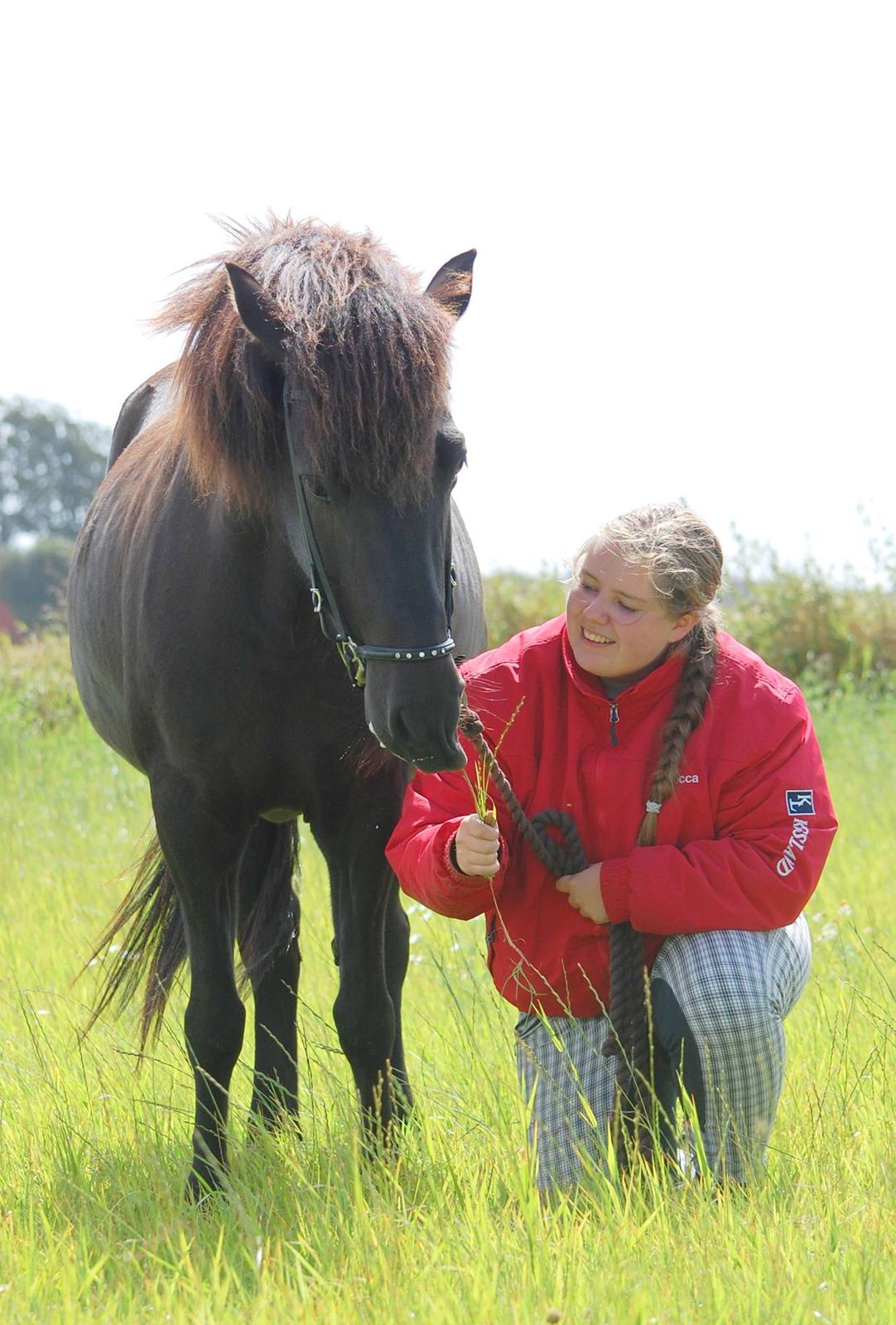Islænder Fina fra Døesbæk billede 14