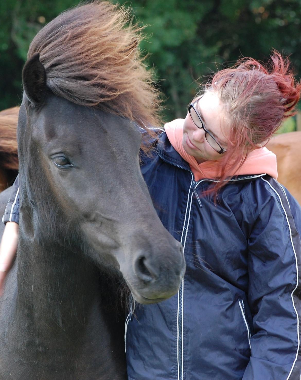 Islænder Harpa fra Klim Bjerg billede 19