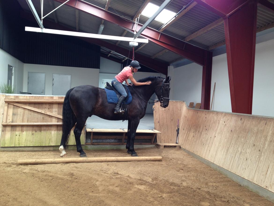 Oldenborg Ikaros billede 9