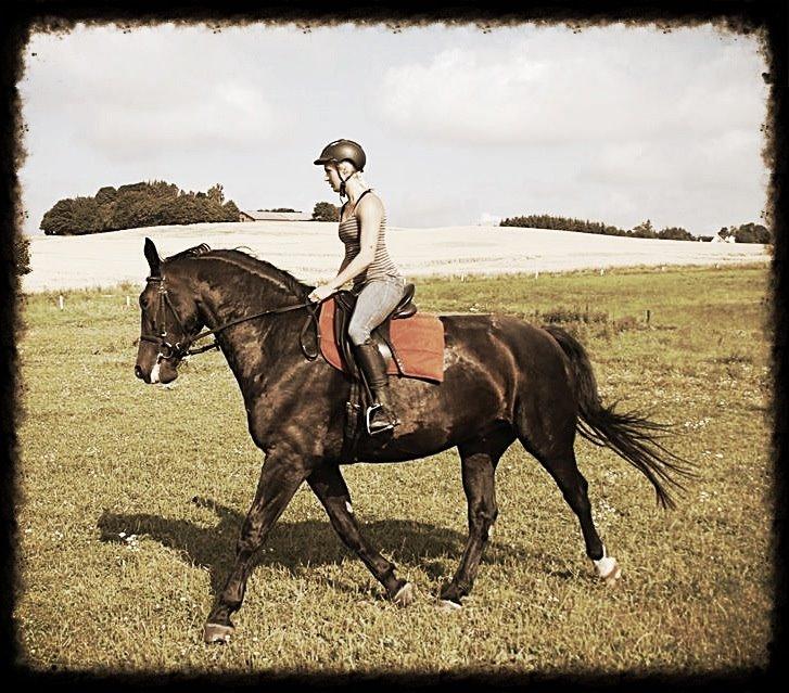 Oldenborg Ikaros billede 20