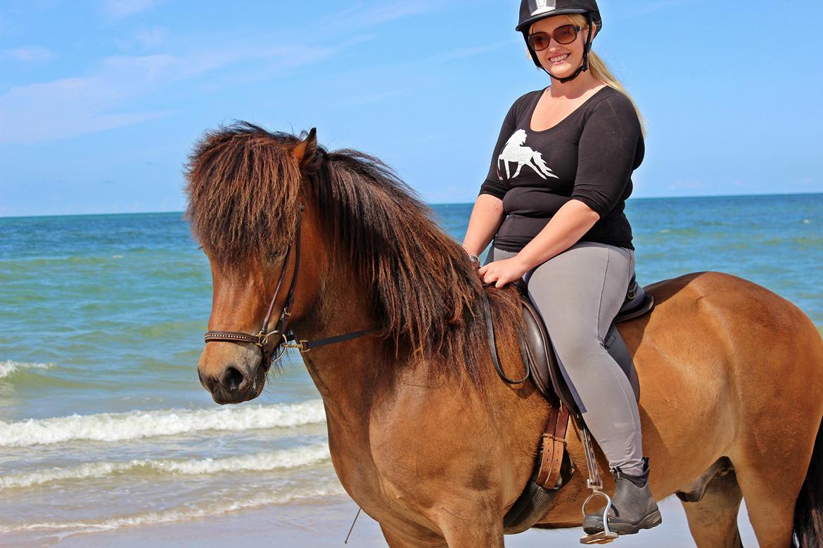 Islænder Fannar fra Gunderup billede 1