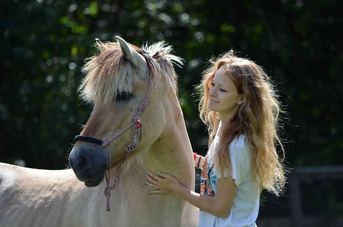 Fjordhest Laika *Soulmate* - Taget af: "Emma&Sif - Nu med Laura" billede 3