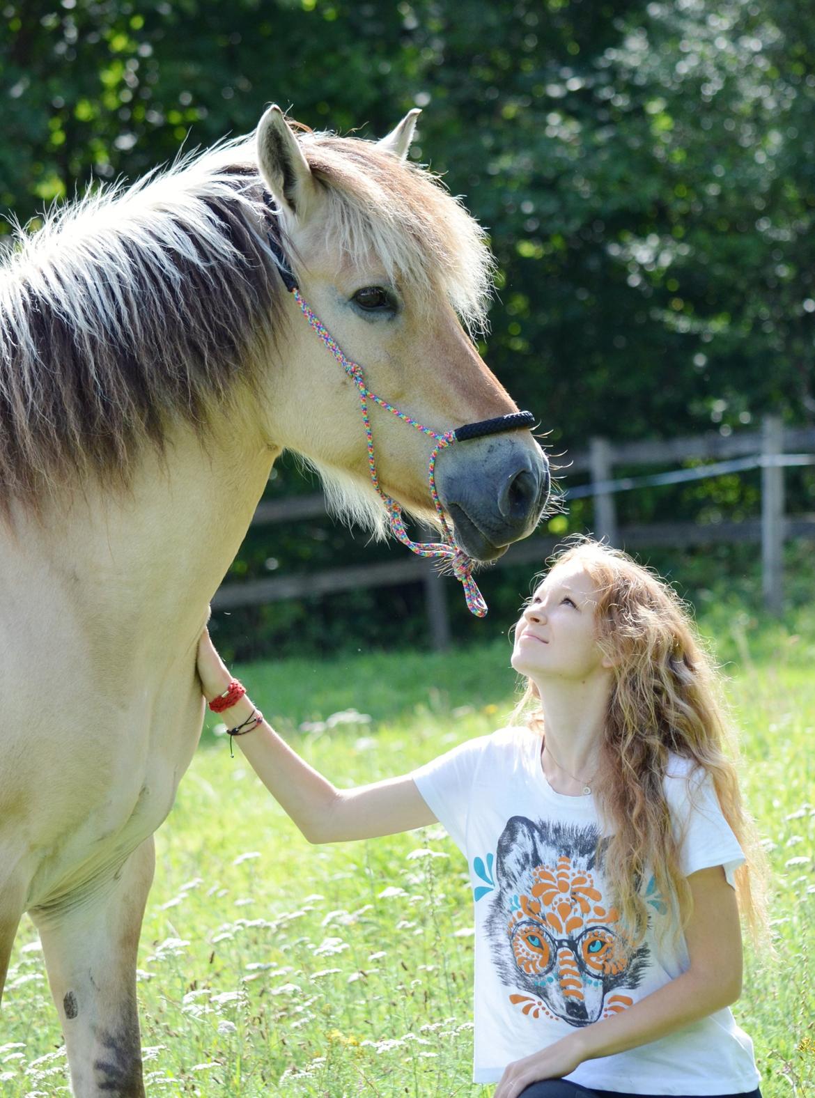 Fjordhest Laika *Soulmate* - Taget af: "Emma&Sif - Nu med Laura" billede 19