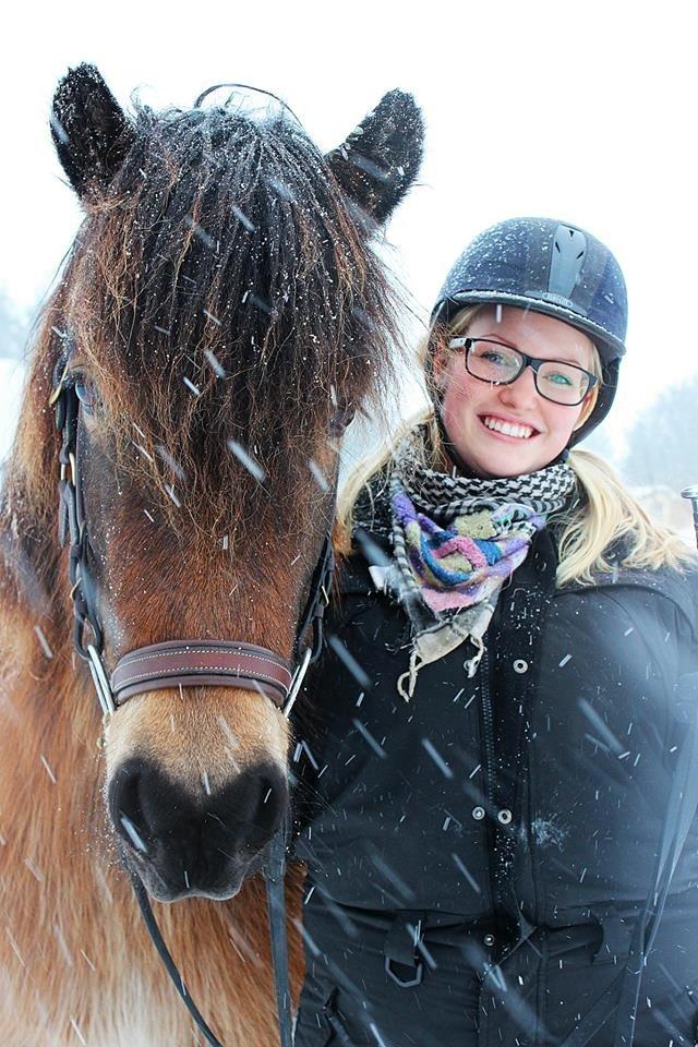 Islænder Fannar fra Gunderup billede 20