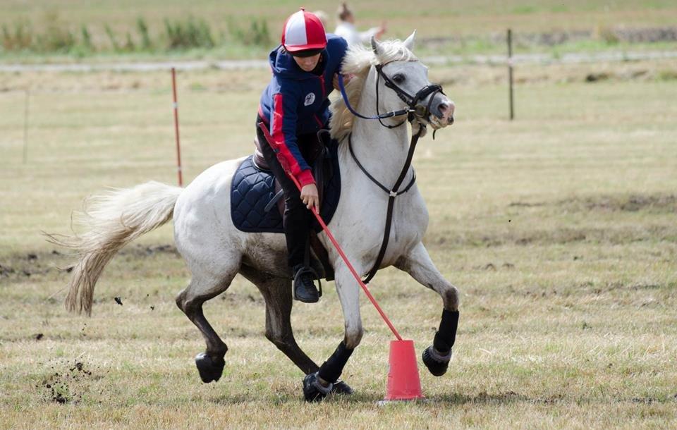 Welsh Pony (sec B) SKOVBJERGS BLAI - DM INDIV 2014 billede 12