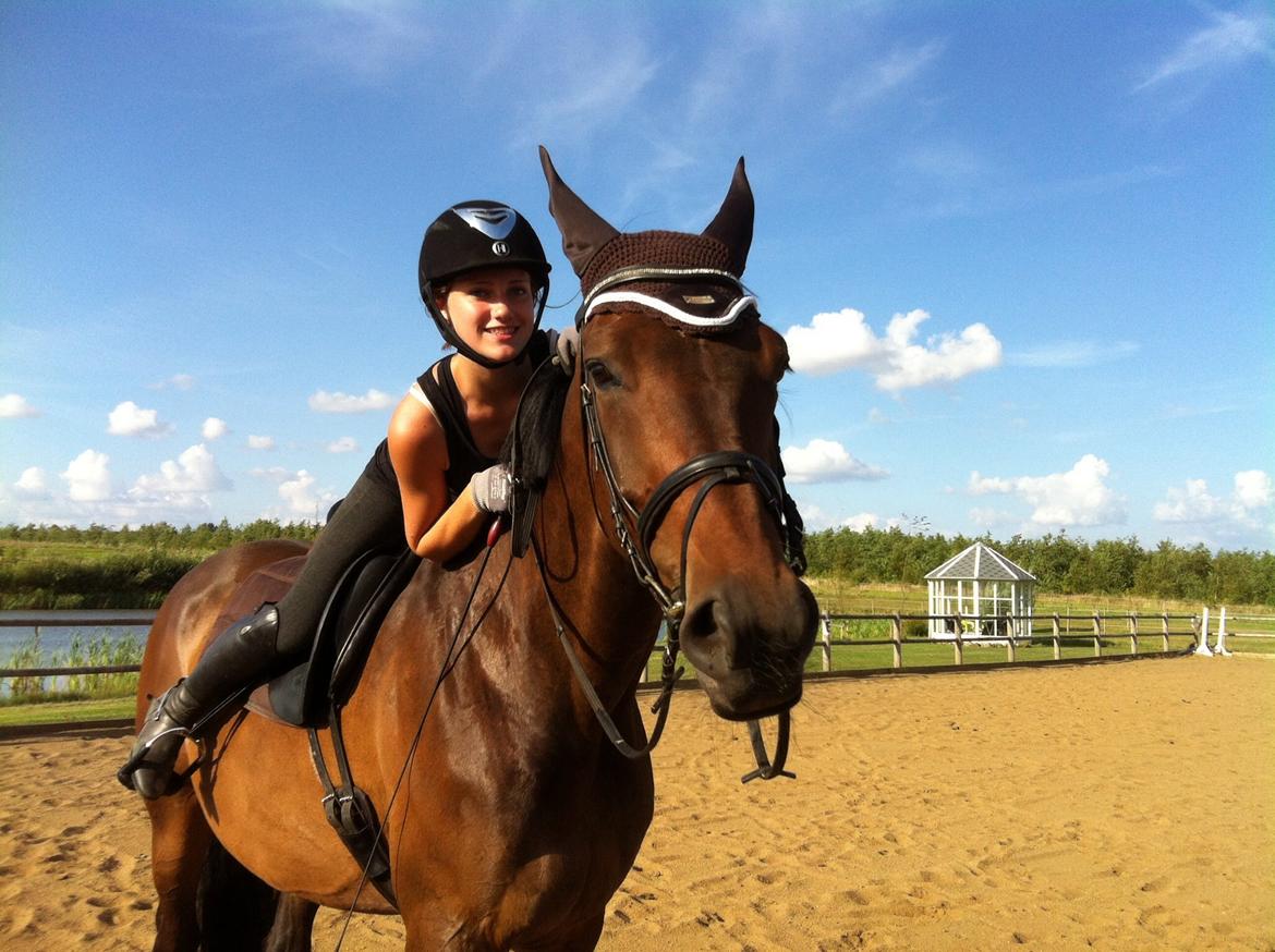 Dansk Varmblod Miss Fiona (Fifi) billede 14